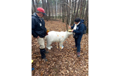 Concours 3D de Richelieu