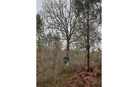 Visite du terrain d'entrainement parcours