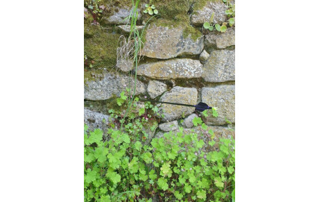 Week-end du 13-14/05/2023